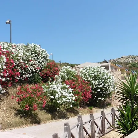 Apartment Family With Swimming Pool Trinita d'Agultu e Vignola